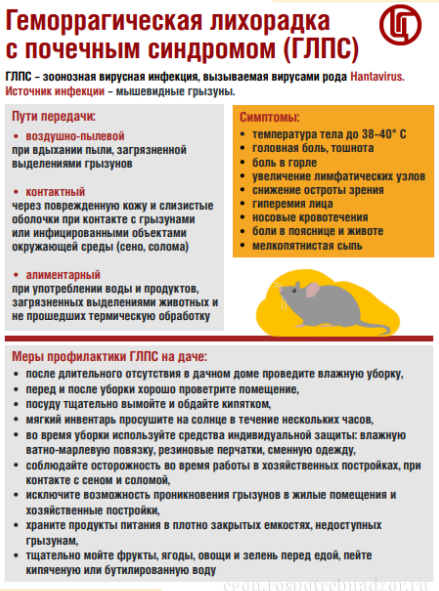 Ссылка на сайт ФБУЗ "Центр гигиенического образования населения " Роспотребнадзора https://cgon.ru/